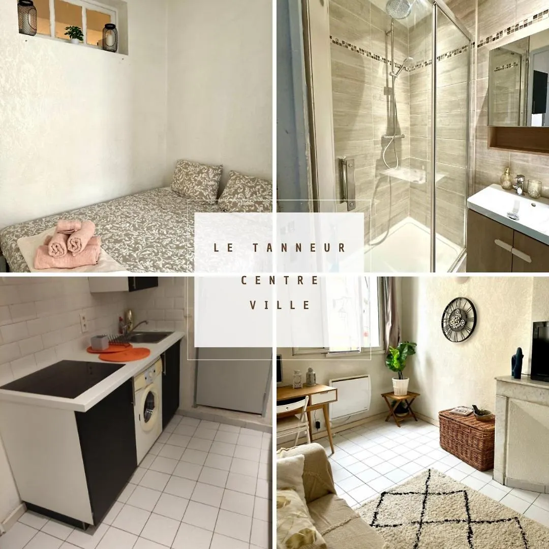 Le Tanneur- Grand Studio 38M2 En Centre-Ville Αιξ-αν-Προβάνς Γαλλία
